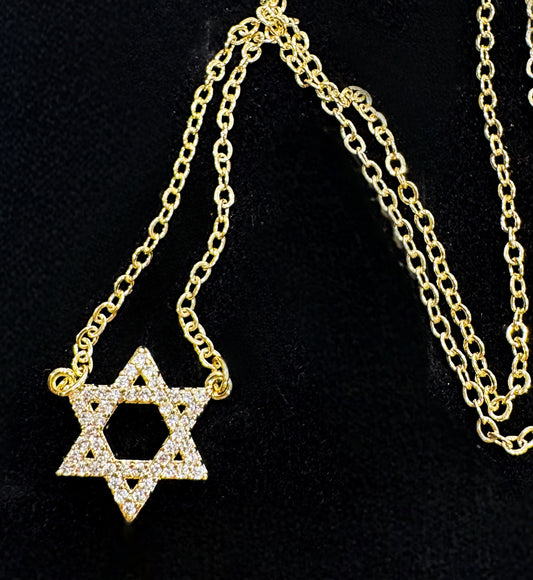 Jena's Pick Star of David Necklace