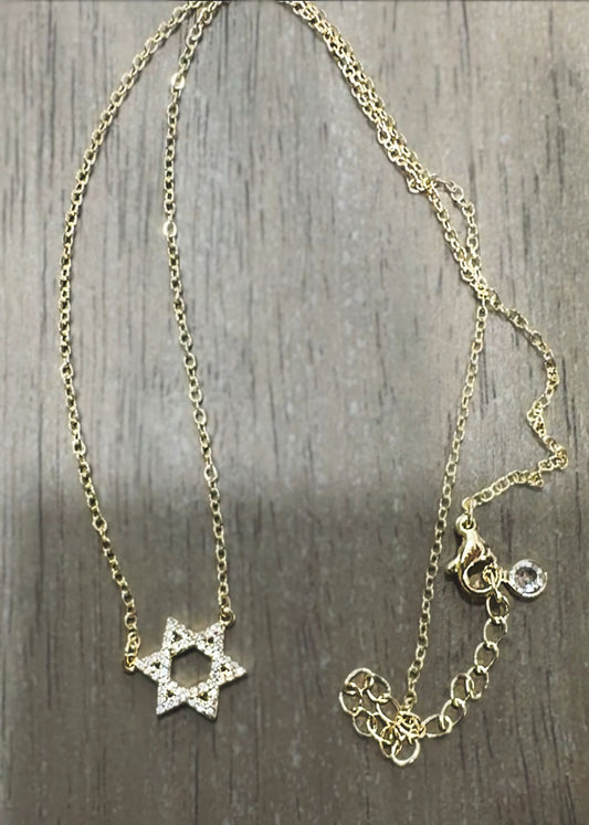 Jena's Pick Star of David Necklace